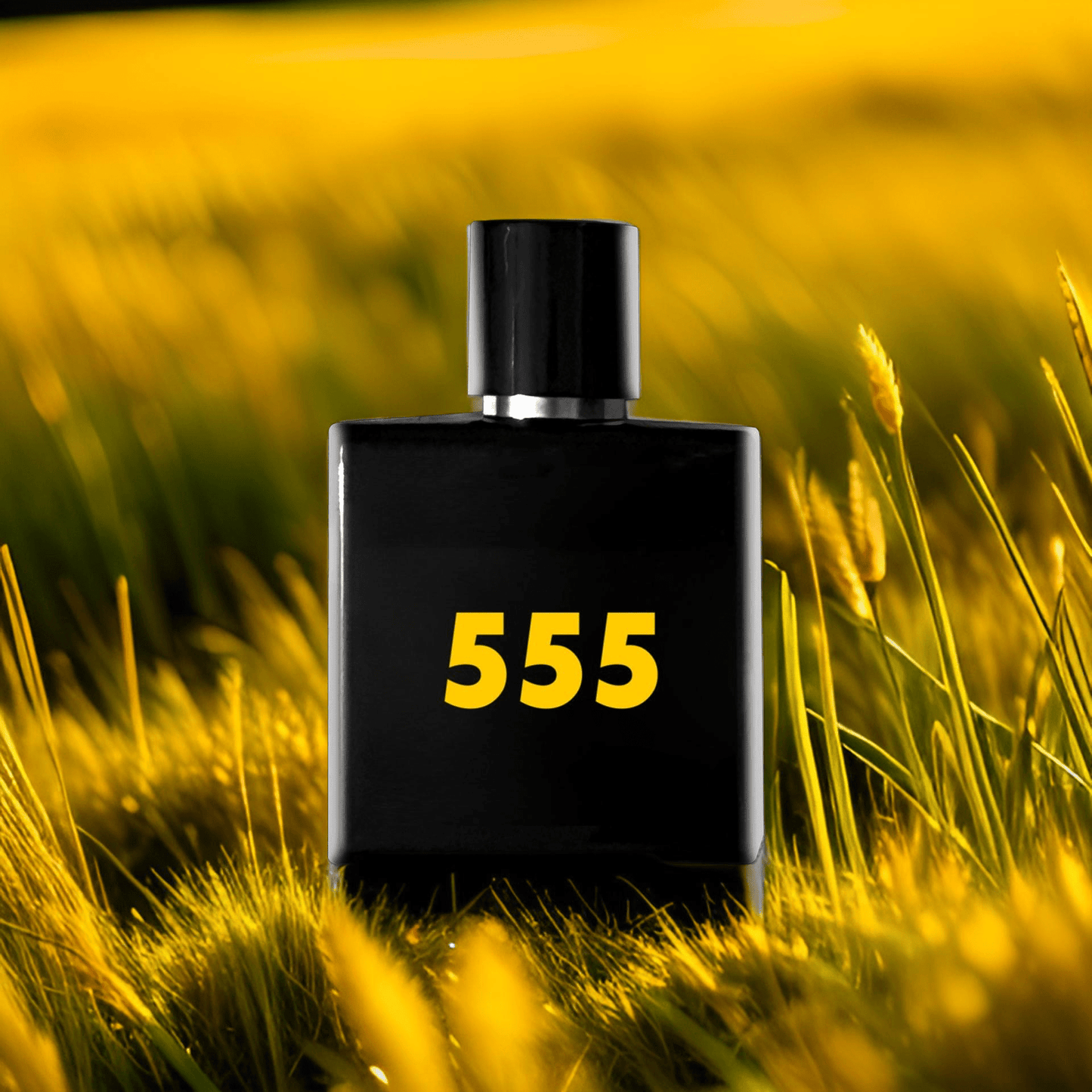 555 - Impression of Terre D’Hermes - SOBER